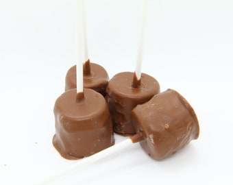 Chocolate Covered Marshmallow Pops - Milk Chocolate