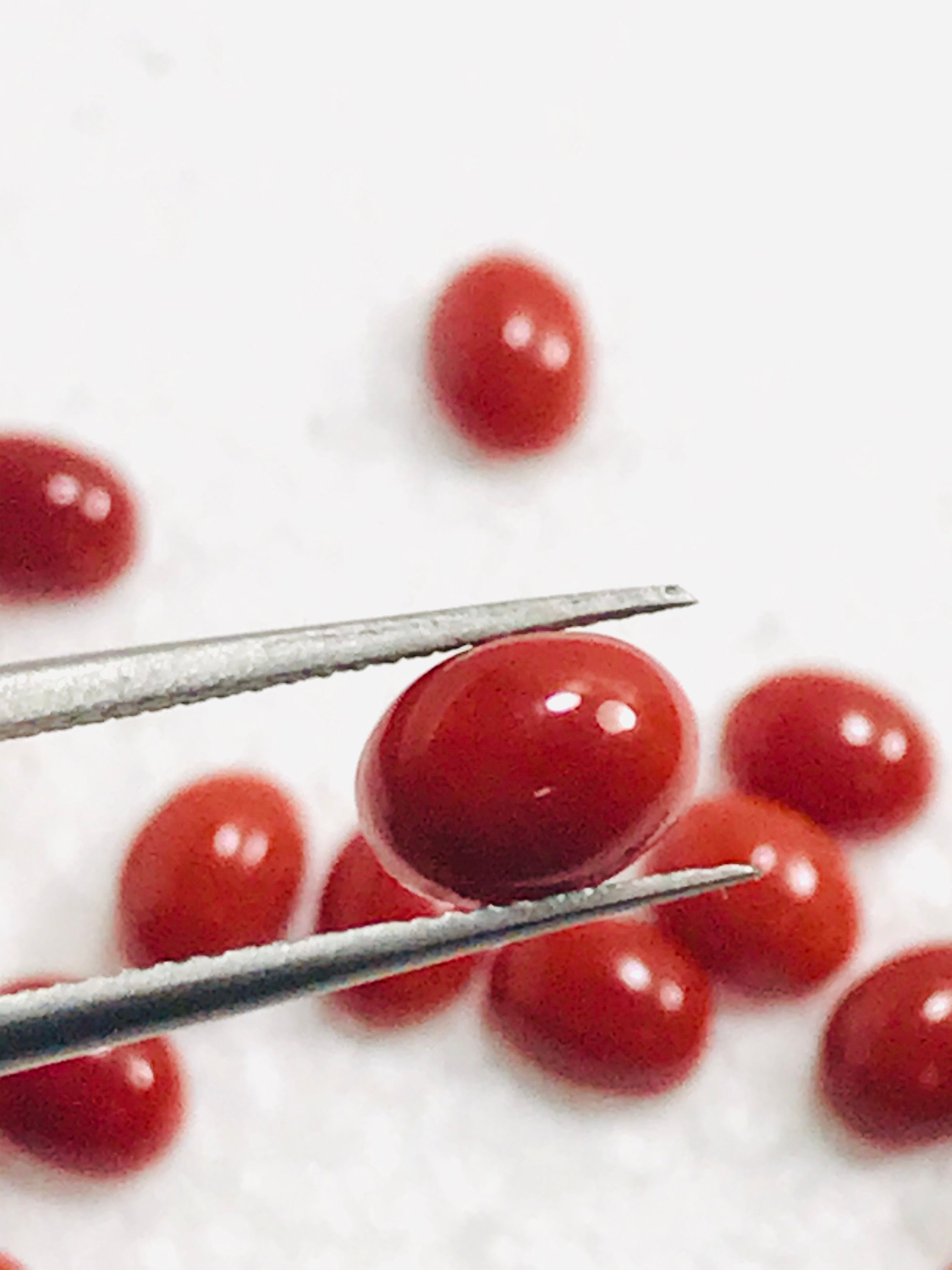 Natural Red Coral Smooth Polished Cabochon LotRed Coral For Etsy