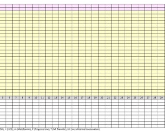 Basal Body Temperature Editable Excel
