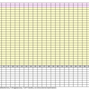 Op de afbeelding: Een blanco tabel met een lichtblauw, geel en roze kleurenschema. De tabel is ontworpen om een ​​cyclus bij te houden, met kolommen voor datum, dag, cyclusdag en verschillende symptomen. De tabel bevat afkortingen voor Clomid, oestrogeen, FSH, HCG, Metformine, progesteron, IVF-transfer en IUI.