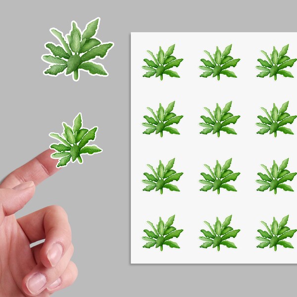 24 x Kale Herb Gardening Pot Seed Food Stickers Sticker Decals Stickers