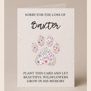 Pet Loss Sympathy Card | Rainbow Bridge Gift | Plantable Wildflower Seed Card | In Loving Memory Of Your Pet | UK Pet Bereavement