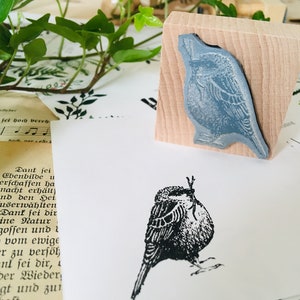 Puede incluir: Un sello de madera con un dise&ntilde;o de p&aacute;jaro azul, junto a una imagen impresa del mismo p&aacute;jaro. El sello est&aacute; sobre una superficie blanca con texto y vegetaci&oacute;n en el fondo. El p&aacute;jaro impreso es en blanco y negro.