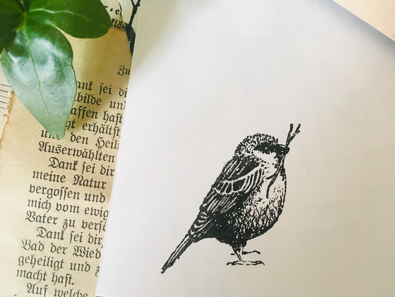 Puede incluir: Ilustraci&oacute;n en blanco y negro de un peque&ntilde;o p&aacute;jaro sosteniendo ramitas en su pico. El p&aacute;jaro est&aacute; sobre un fondo blanco, con un trozo de papel rasgado con texto en alem&aacute;n y una hoja verde en la esquina superior izquierda.