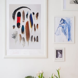 Troupeau du sud-ouest, impression de plumes, oiseaux australiens, collection de plumes, cacatoès noir, art mural de plumes, cadeau de pendaison de crémaillère image 1