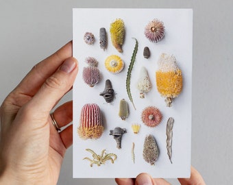 Banksia Card: Australian Native Flora Art Print