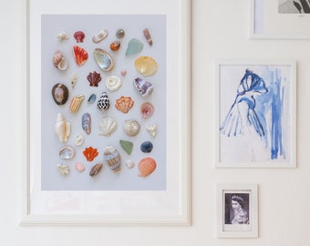 Seashell Art Print: Western Australia Beach Finds