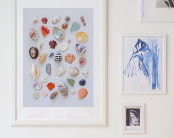 She Collects Sea Shells - Shell Art Print. Seashells, seashell collecting, seaglass, beach combing, beach print, ocean collection, flatlay.