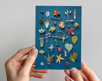 Festive Succulents Greeting Card: South American Design