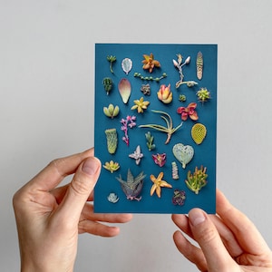 Succulents greeting card,  succulents collection, succulent print, dark background, succulents card, cactus card, cactus art