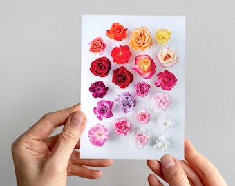 Stop and Smell the Roses greeting card  — A collection of garden roses
