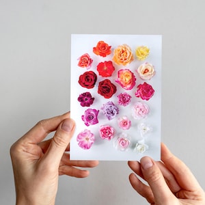 Carte de voeux Stop and Smell the Roses — Une collection de roses de jardin