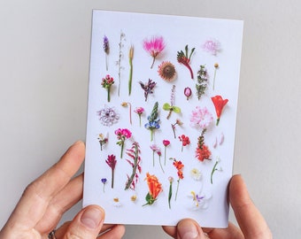 Garden foraging greeting card  — A collection of Western Australian flowers