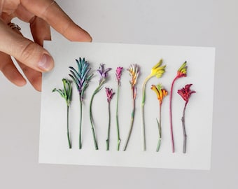 Kangaroo Paw Wildflower Greeting Card: Western Australia Flora