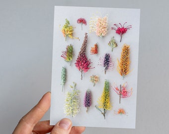 Grevillea botanical print, Christmas card, floral card, Australian flowers, botanical print, birthday card, Australian flora