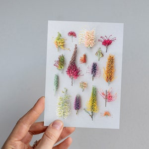 Grevillea botanical print, Christmas card, floral card, Australian flowers, botanical print, birthday card, Australian flora