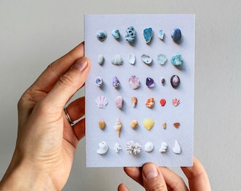 Seashell Collection Greeting Card: Rainbow Ocean Art Print