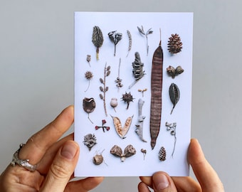 Seedpods greeting card  — A collection of Australian seedpods