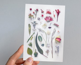 Eucalyptus Flowers Greeting Card: Australian Botanical Print Native Australian Christmas