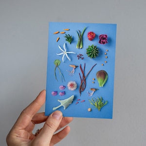 Ocean Flow-ers, Flowers, Sea, Flora, Water, Western, Australian, Perth, Australia, Flat lay, Garden, Card