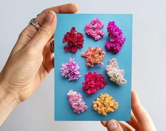 Bougainvillea Floral Print Card: Australian Flora Collection