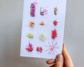 Grevillea botanical greeting card  — A collection of grevillea's flowers