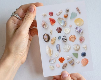 She Collects Sea Shells - A Shell greeting card. Seashells, seashell collecting, seaglass, beach combing, beach print, ocean collection.