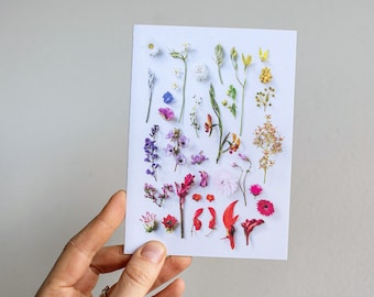 Wildflowers spectrum greeting card  — A collection of Western Australian native wildflowers
