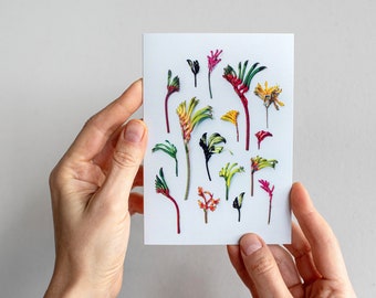 Hello kangaroo paws greeting card  — A collection of Western Australian native wildflowers