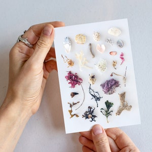 Biglietto d'auguri da spiaggia, collezione di pettinatura da spiaggia, stampa di conchiglie, oggetti trovati, arte oceanica, carta arcobaleno, stampa di cristalli, collezione oceano