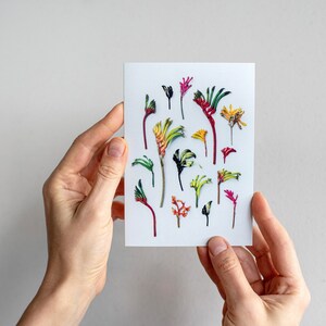 Hello kangaroo paws greeting card — Une collection de fleurs sauvages indigènes d'Australie occidentale
