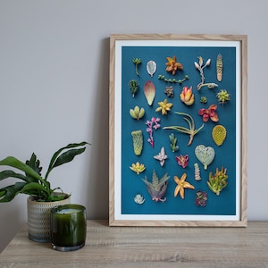 Impresión de suculentas, colección de suculentas, arte suculento, fondo oscuro, tarjeta de suculentas, impresión de cactus, tarjeta de cactus, arte mexicano