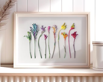 Paw cocktail kangaroo paws floral print  — A collection of Western Australian native wildflowers