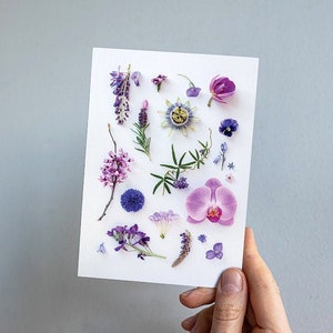 Purple Rinse, Nature, Flowers, Flora, Lilac, Violet, Feminine, Flat lay, Garden, Card