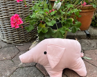 Lotta Pig, piggy, lucky charm, lucky pig