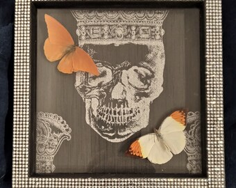 Appias zarinda (albatros naranja), Hebomoia glaucippe (gran punta naranja) mariposas enmarcadas de origen ético y amigables con la conservación