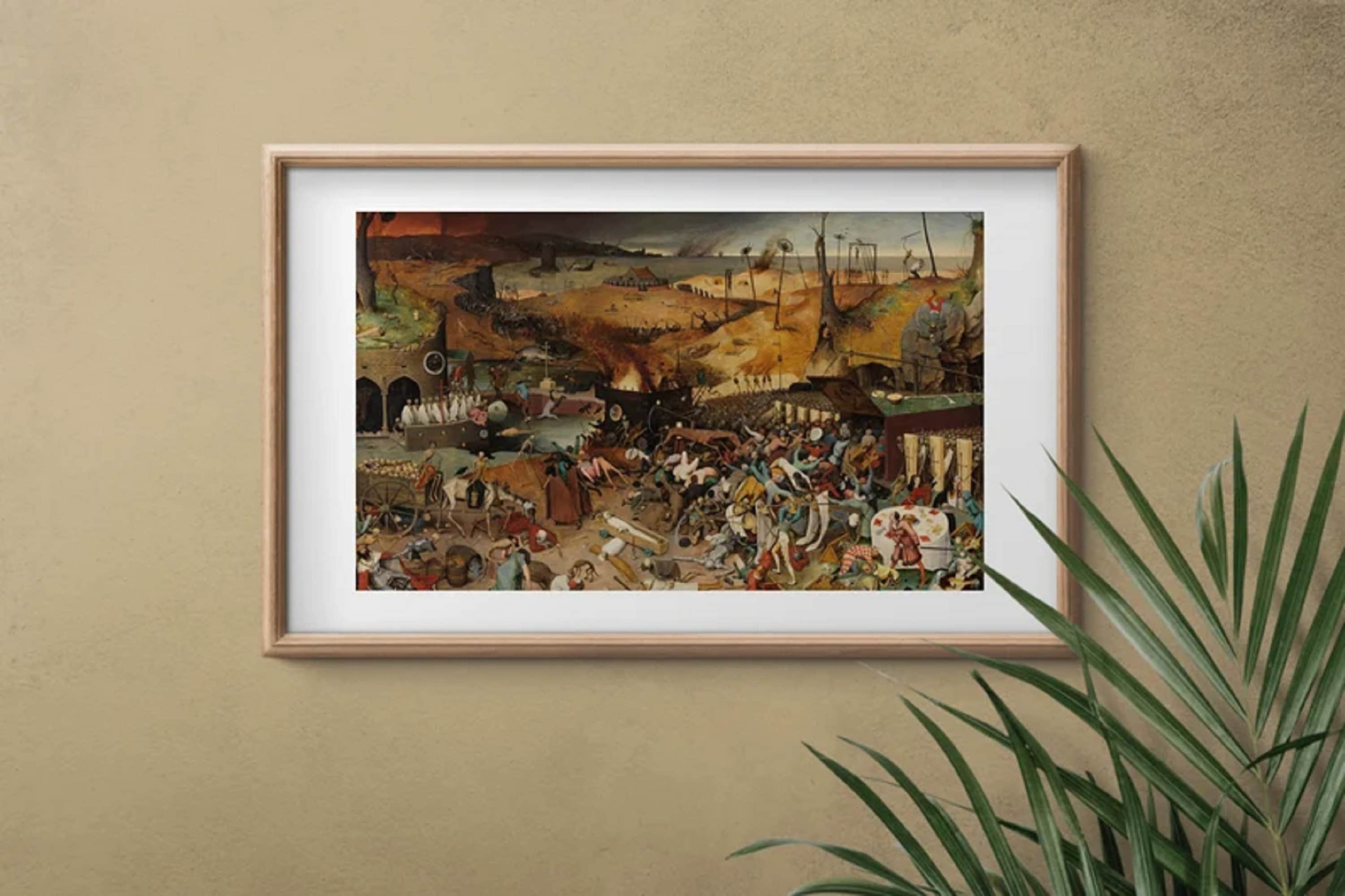 gallery photo
