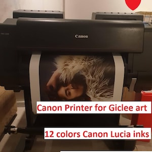 A Canon Printer for Giclee art, featuring a 12-color Canon Lucia inks system and an Archive pigmentation feature.