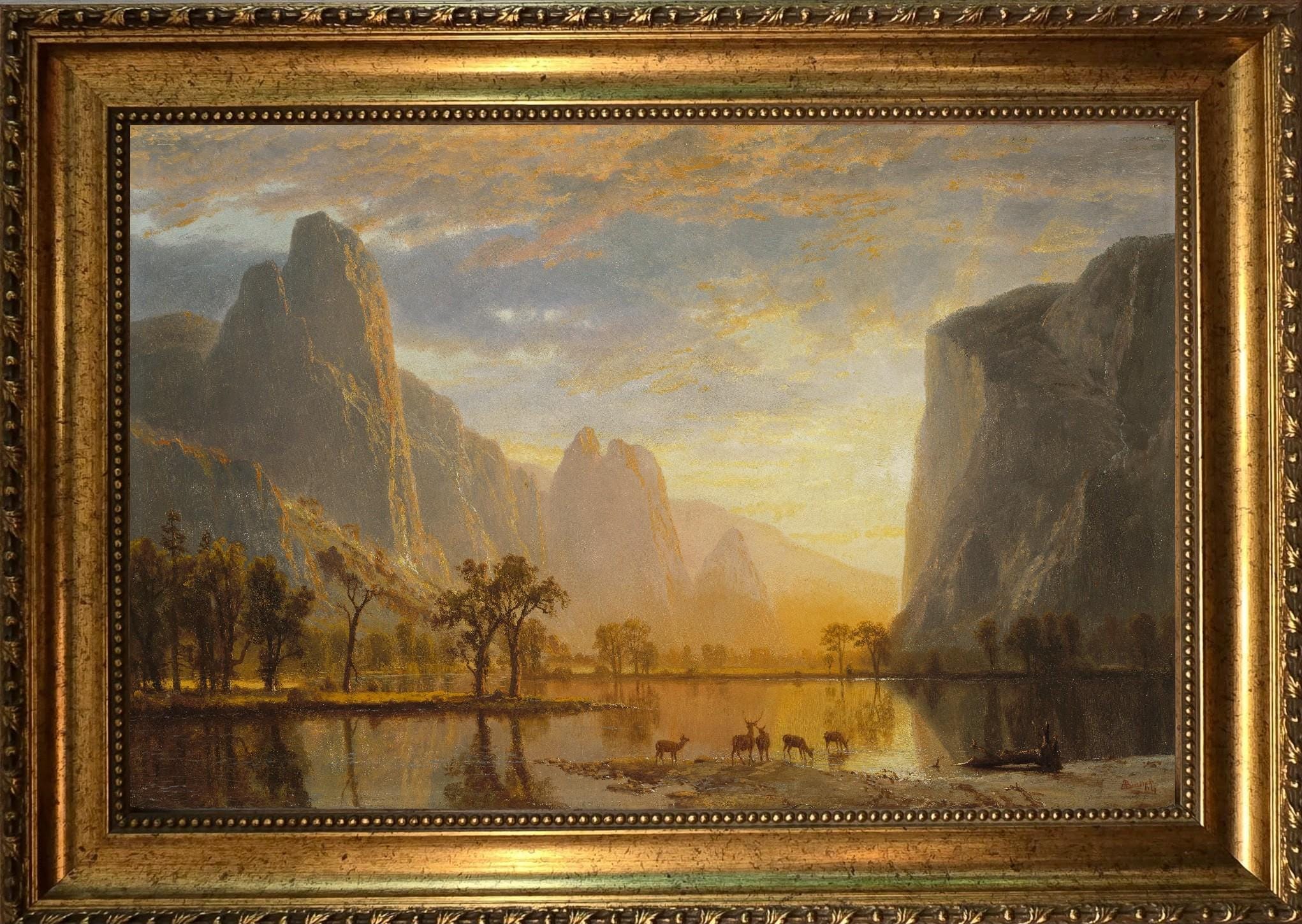 gallery photo