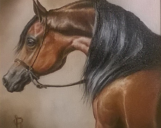 MYSTERIOUS BEAUTY | fine art print from original oil painting | horse photo | equestrian print | equestrian decor | High Definition Print