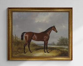 Horse Canvas Print | William Barraud, Golden Vintage Frame