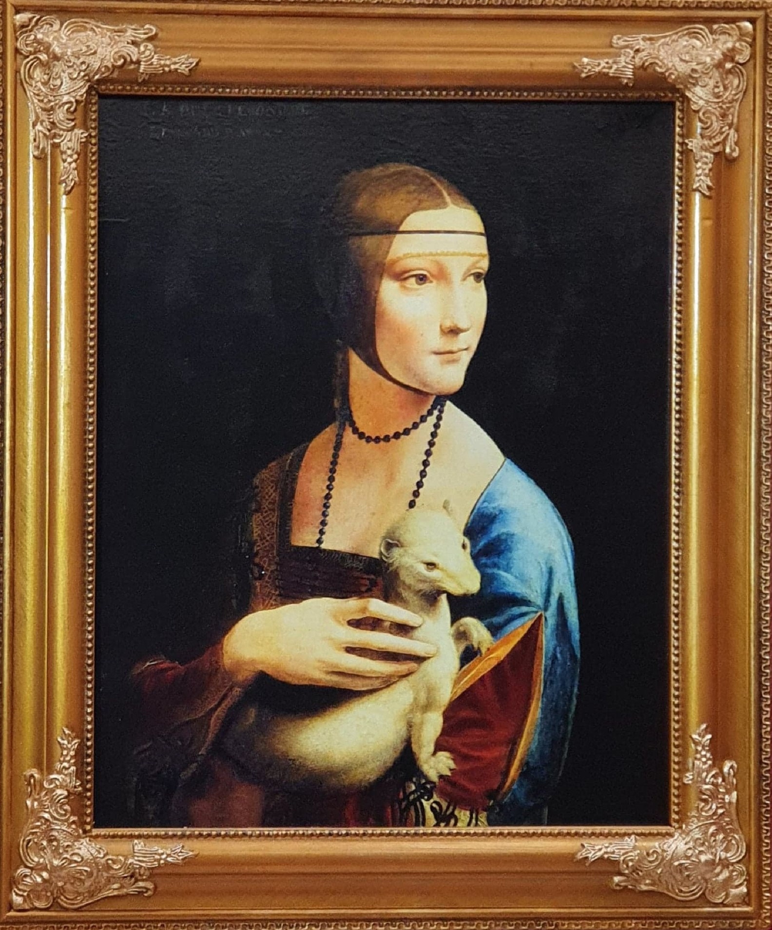 gallery photo