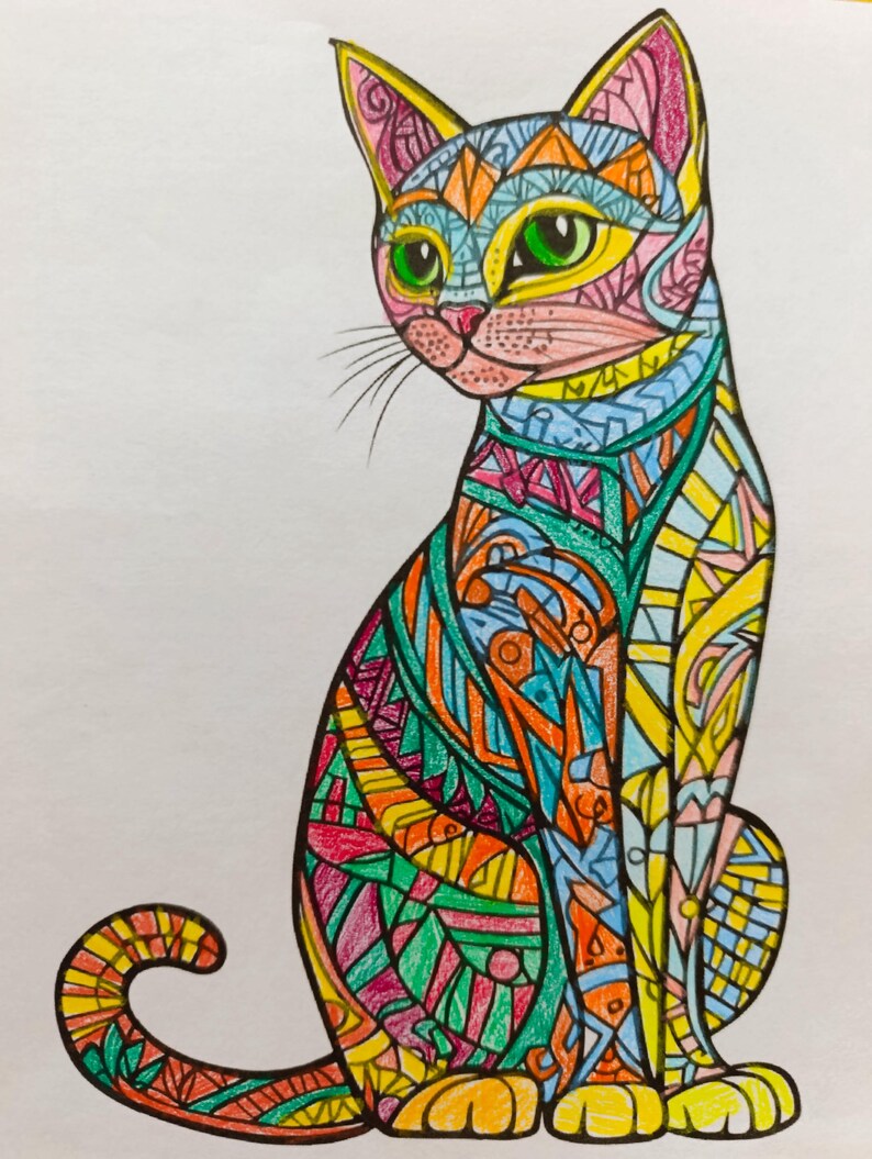 May include: A drawing of a sitting cat filled with intricate geometric patterns and vibrant colors including orange, yellow, blue, green, and pink. The cat has large, bright green eyes, a pink nose, and long whiskers, all outlined in bold black ink.