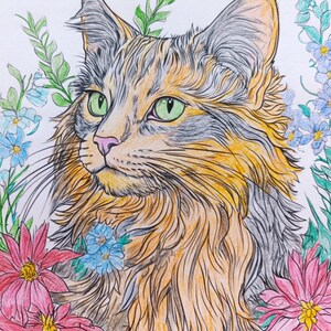 May include: A colored pencil drawing of a long-haired cat with green eyes, orange and grey fur, and tufted ears. The cat is surrounded by vibrant pink flowers, blue blossoms, and green leafy stems, all rendered with detailed line work and shading.