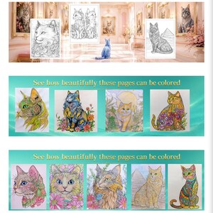 May include: A collection of cat-themed coloring pages featuring intricate line art illustrations of various feline breeds, some displayed as black and white outlines and others shown fully colored with vibrant patterns and floral elements.