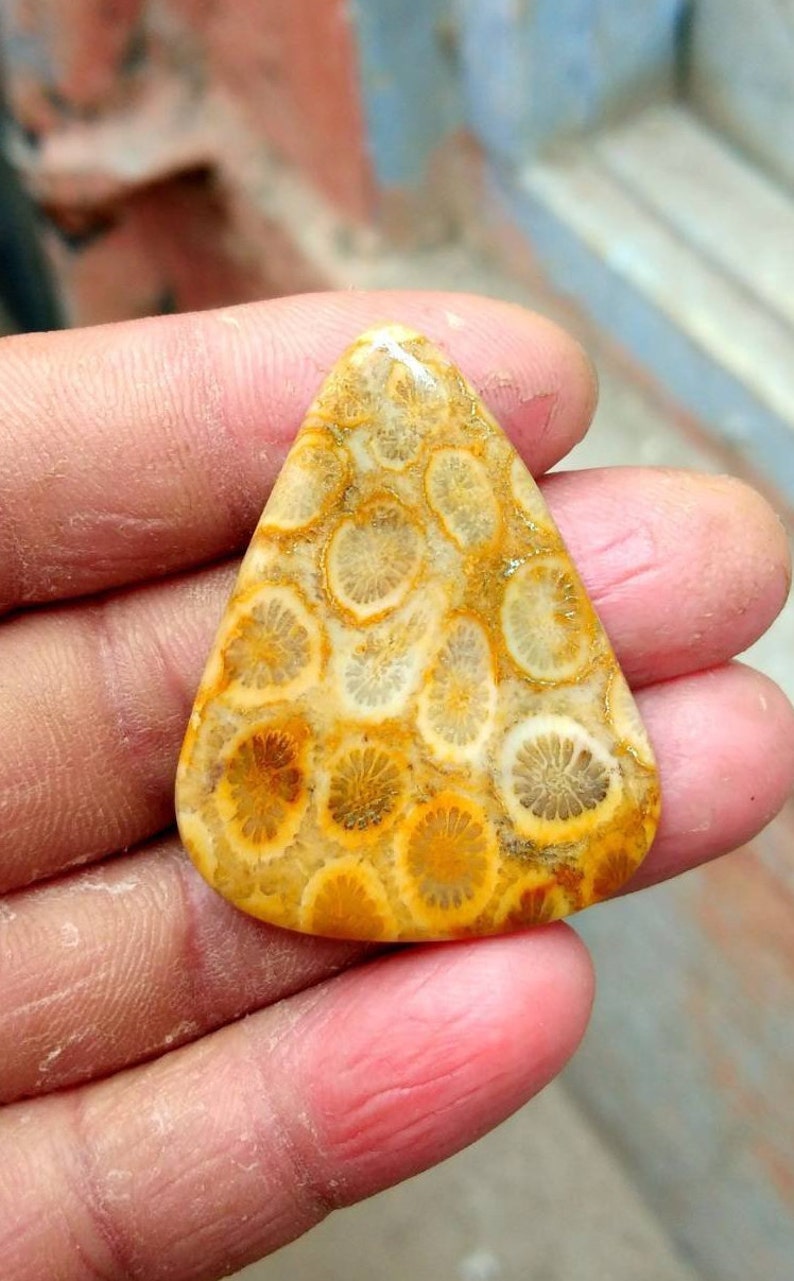 Wholesale Price Fossil Coral Pear Cabochon Natural Fossil Coral Loose Gemstone For Pendant,40X30mm,34.35cts,..@460