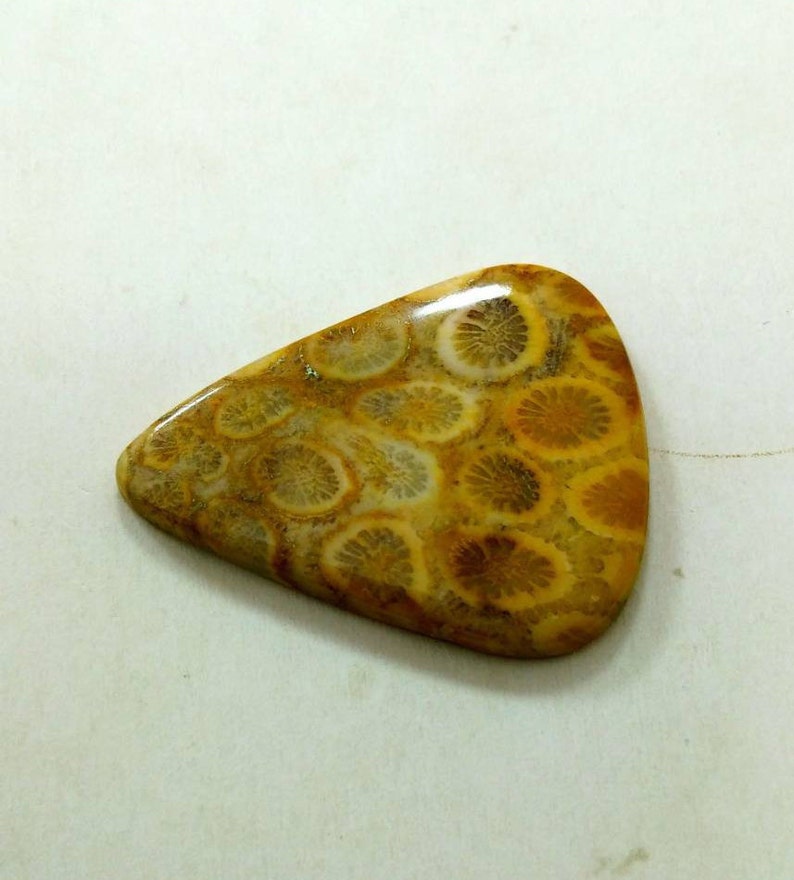 Wholesale Price Fossil Coral Pear Cabochon Natural Fossil Coral Loose Gemstone For Pendant,40X30mm,34.35cts,..@460