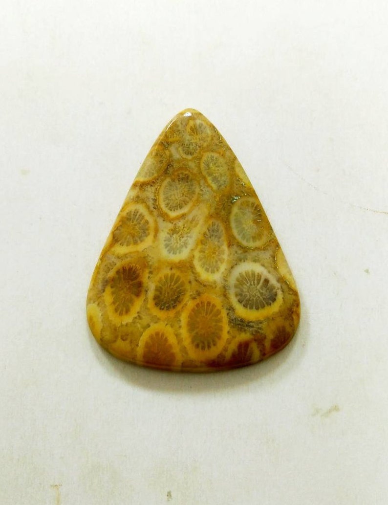 Wholesale Price Fossil Coral Pear Cabochon Natural Fossil Coral Loose Gemstone For Pendant,40X30mm,34.35cts,..@460