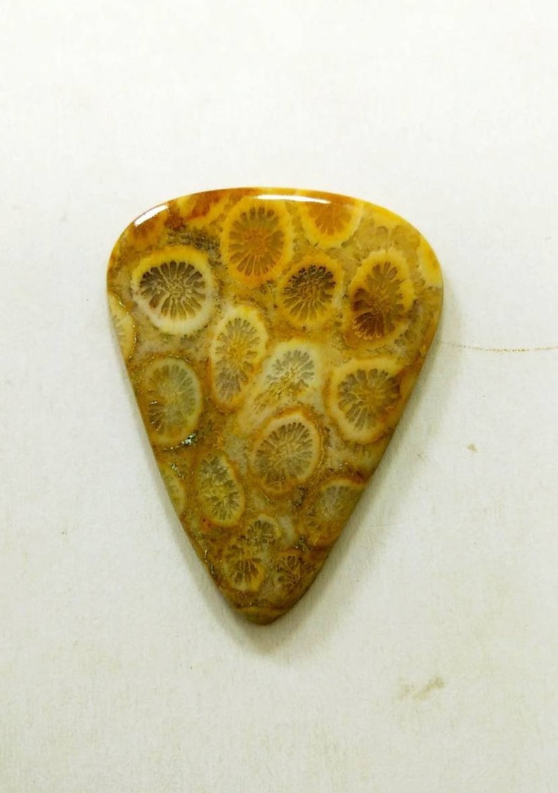 Wholesale Price Fossil Coral Pear Cabochon Natural Fossil Coral Loose Gemstone For Pendant,40X30mm,34.35cts,..@460