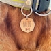 see more listings in the Dog tag, pet ID section